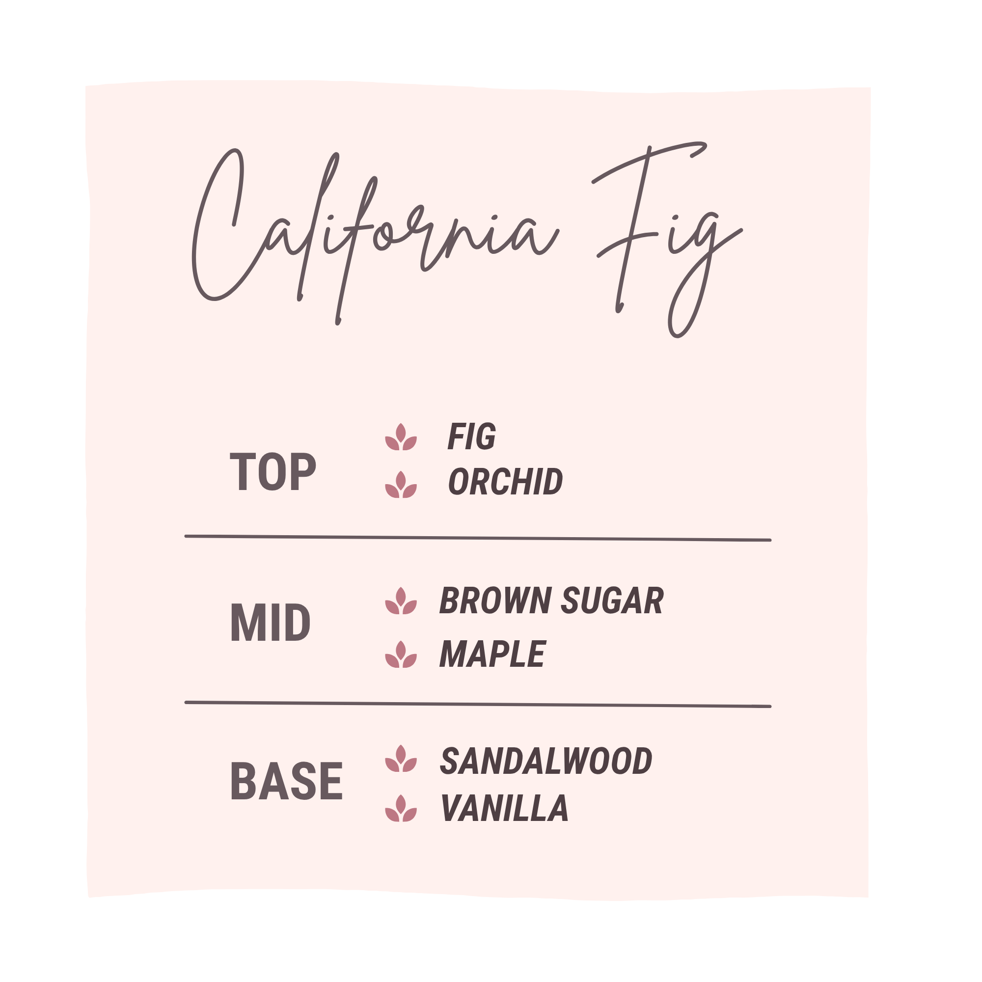 California Fig Luxury Small Space Air & Linen Refresher