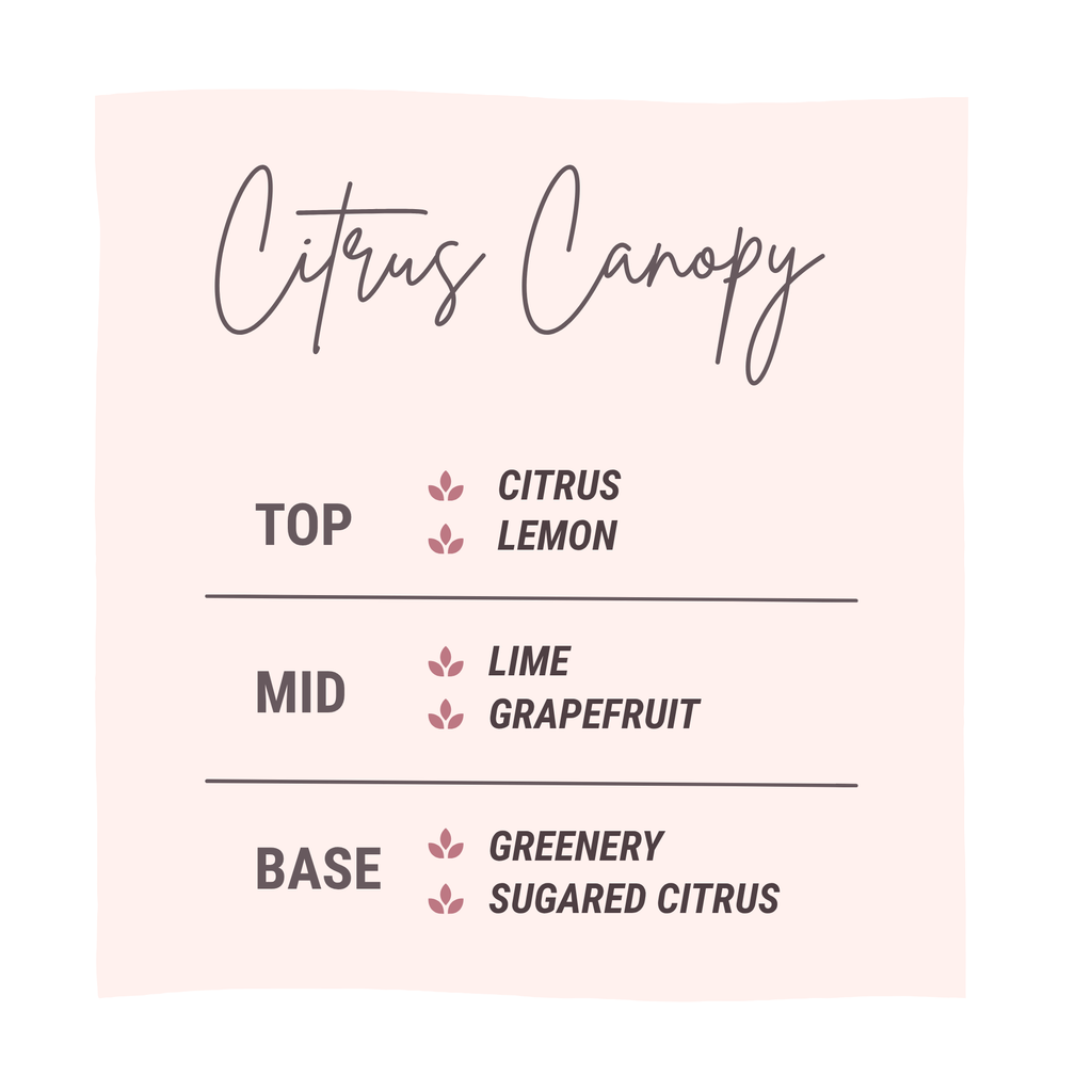 Citrus Canopy Luxury Small Space Air & Linen Refresher
