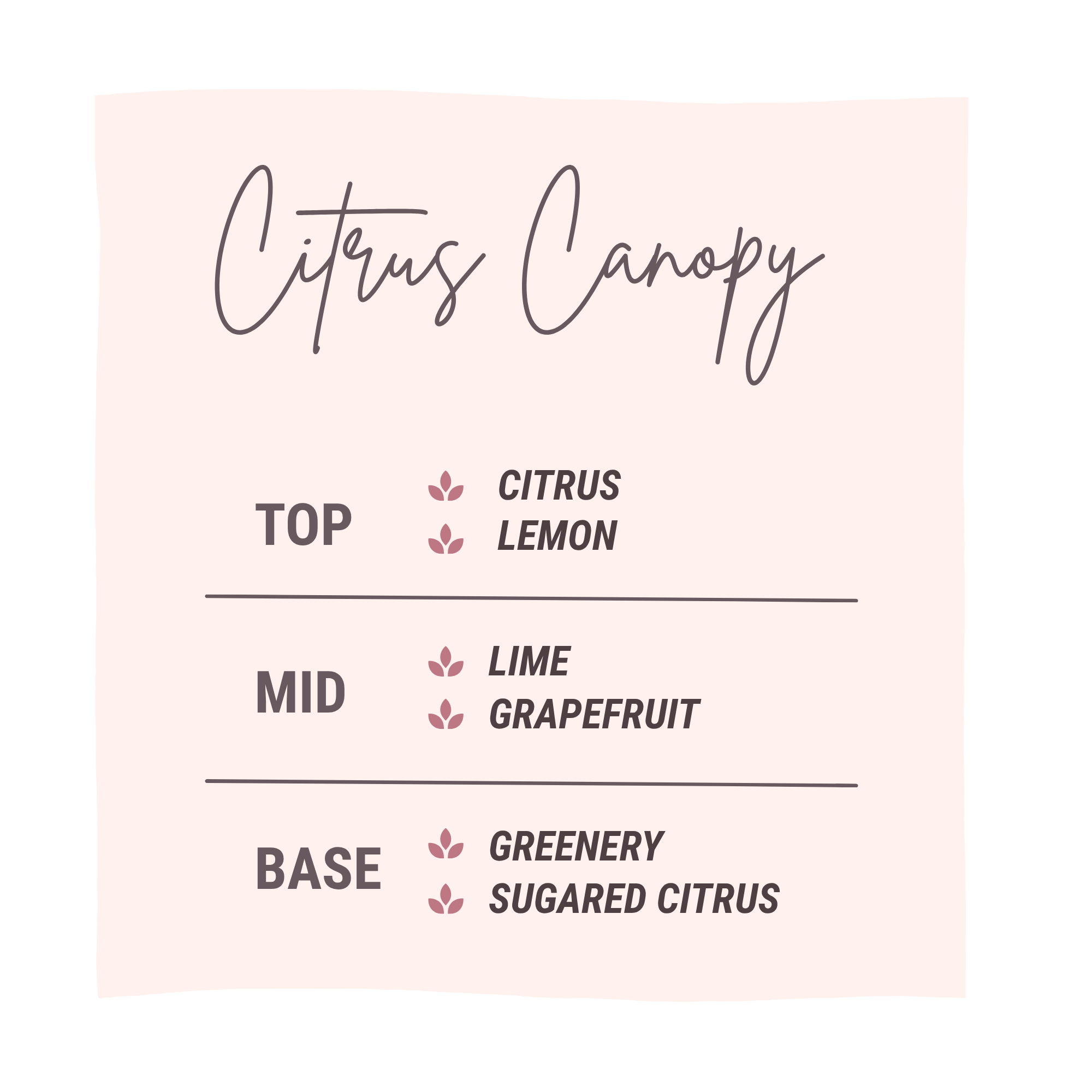 Citrus Canopy Luxury Small Space Air & Linen Refresher